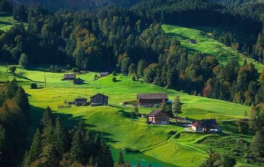 Nature landscape mountains forest