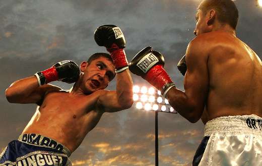 Boxers online