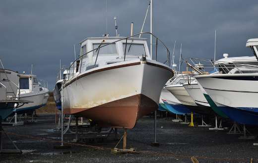 Yacht boat online