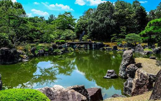 Green garden online
