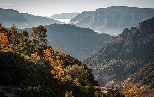 landscape-24