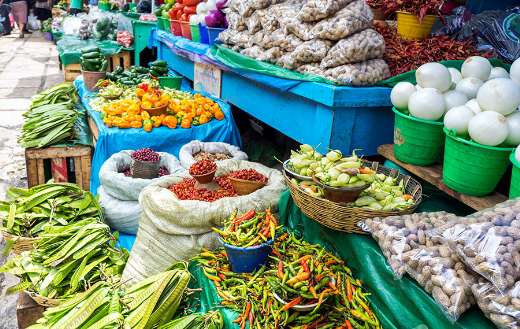 Peppers chiles nuts and other edible plants