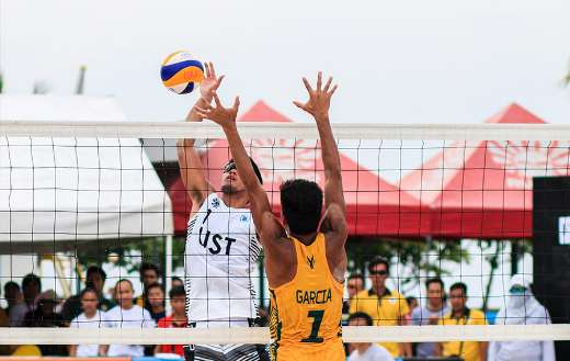 Volleyball game online
