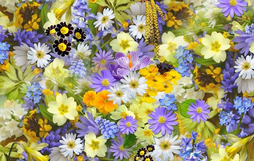 Flowers 33 online