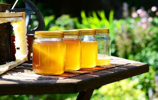 New harvest honey jars
