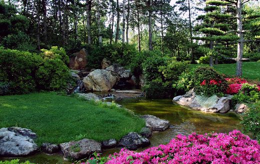 Green landscape