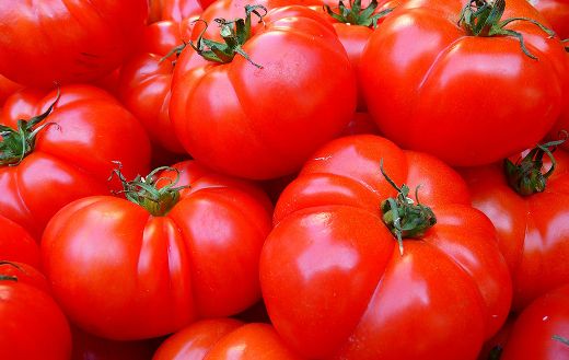 Ripe red tomatoes puzzle