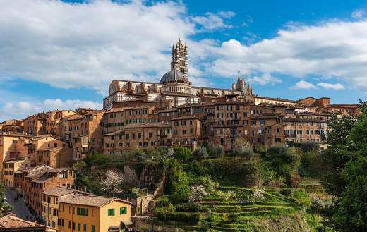 Siena San Gimignano and Monteriggioni Florence
