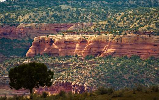 Arid canyon dawn