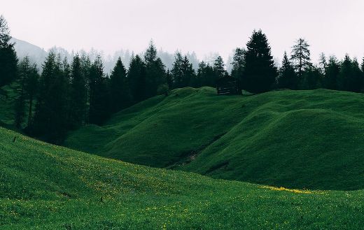 Green hills online