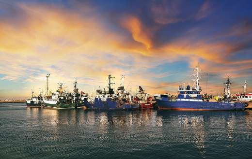 Sea port ships online