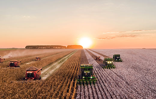 farm trucks jigsaw