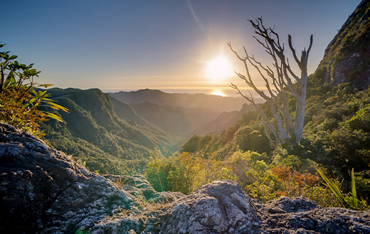 Mountain-Valley-k
