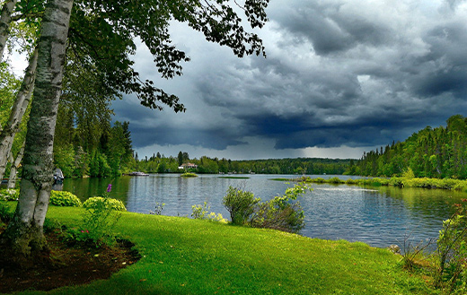 water-sky-and-trees