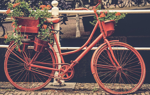 Old bike