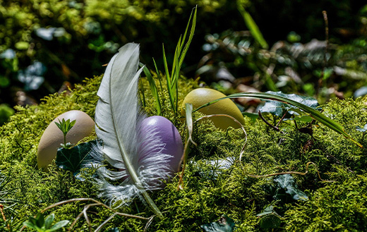 easter-eggs