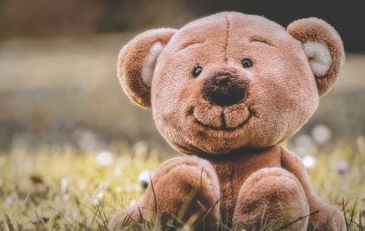 Meddy soft toy