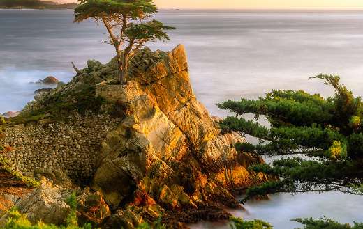Pebble beach online