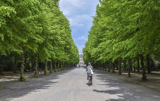 Green beautiful park nature landscape