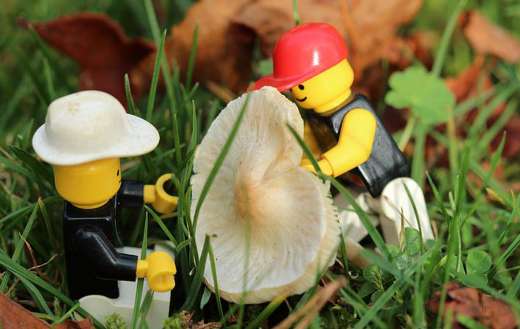 Playmobil online