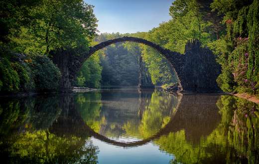 Gray bridge and trees online
