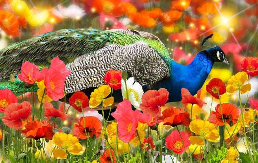 Background online
