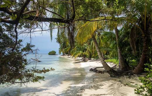 Beach online