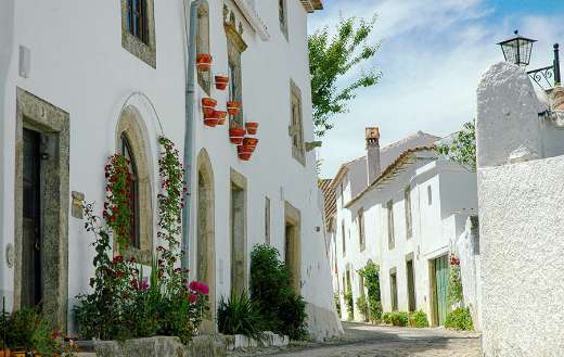 Nice white houses online