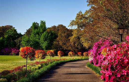 Park garden online