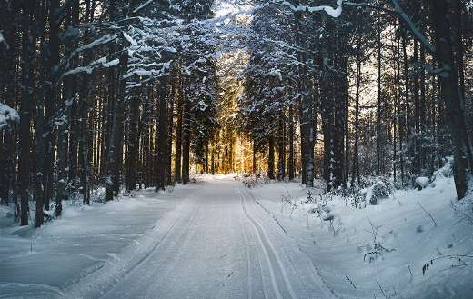Winter sunrise sunset online