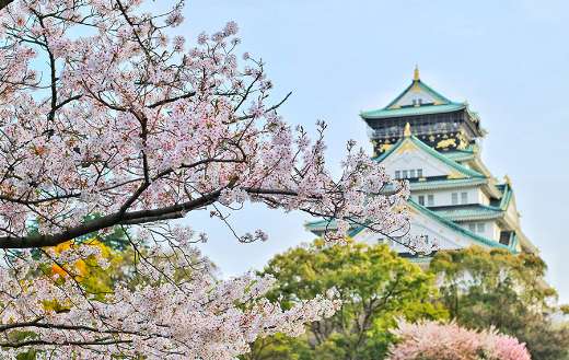 Osaka castle park online