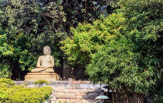 Bali garden online