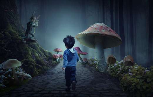 Fairy tale forest