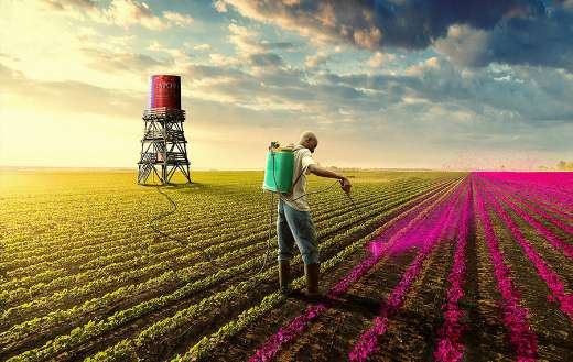 Farming puzzle