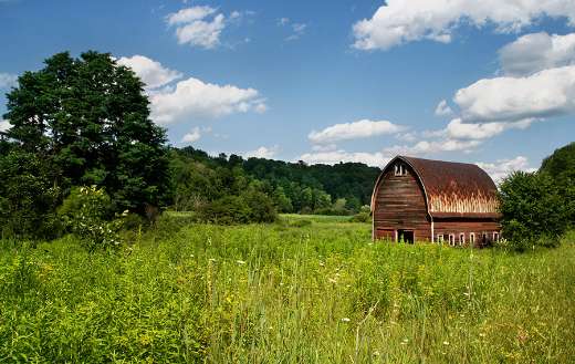 Field farm