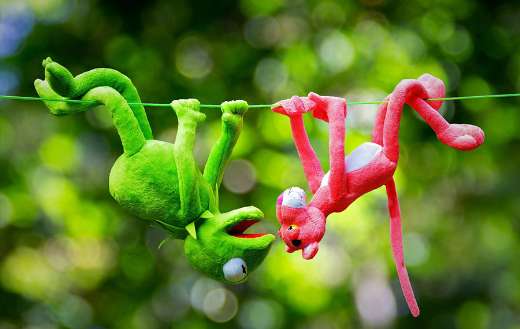 Monkey frog toys