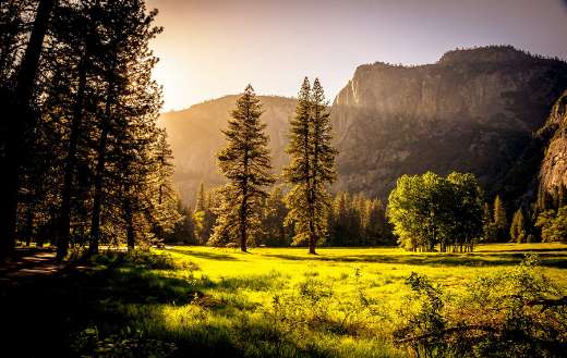 Sun light sun down nature