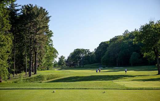 Golfing puzzle