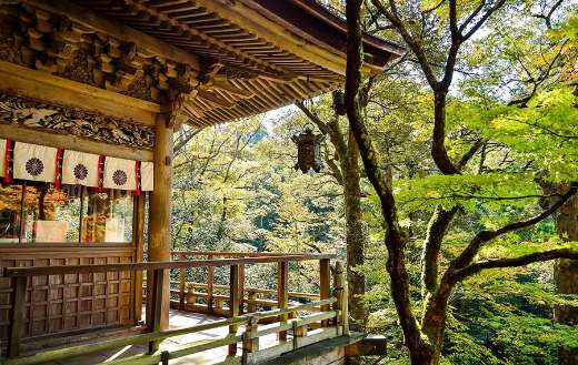 Natural outdoors view of japan landscape