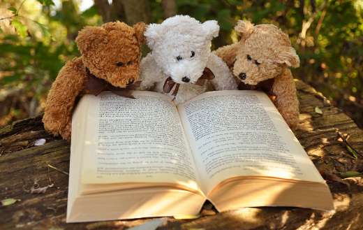 Teddy bears puzzle