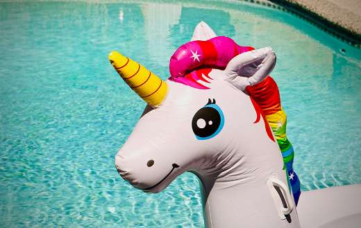 Tech unicorn puzzle