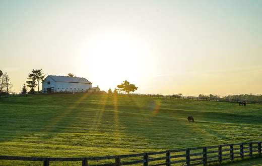 White house beside grass field farm