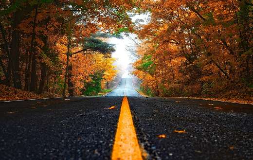 Autumn street lane view puzzle
