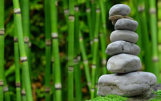 Zen garden online