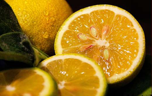 Lemons in halfs puzzle