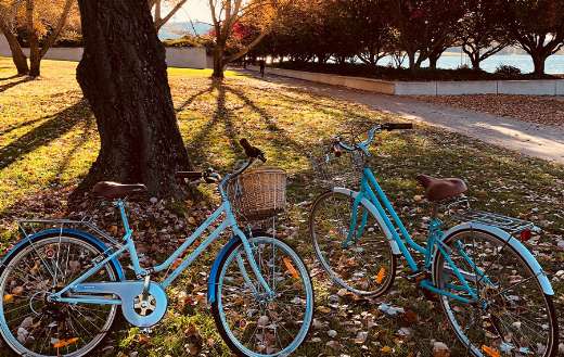 Two bicycles online