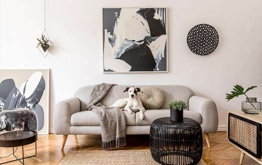 Interior design living room nice scandinavian apartment