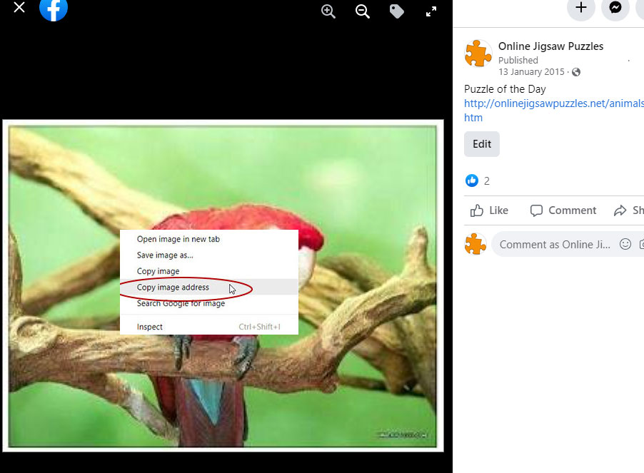 fb url