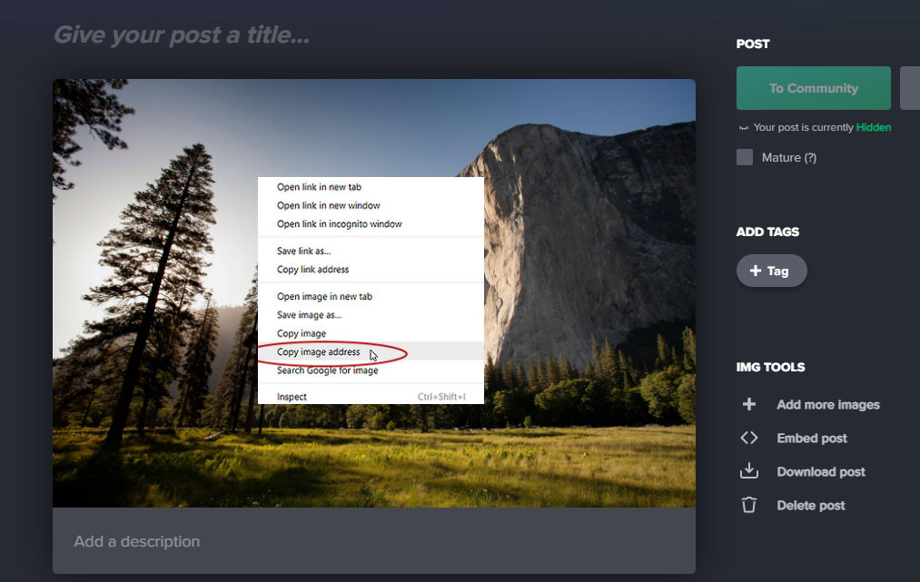 imgur copy url