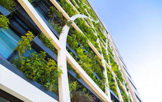 Living wall variety plants eco friendly Tel Aviv Israel